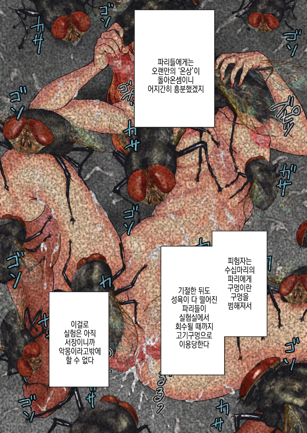 Youchuu Oyako | 양충모녀